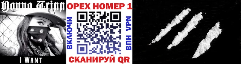 КОКАИН FishScale  где найти наркотики  Гусь-Хрустальный 