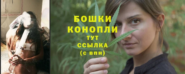 спиды Богородск