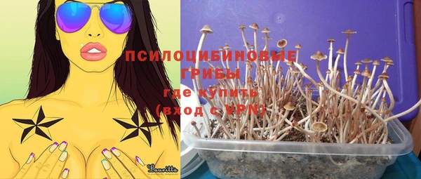 а пвп мука Богородицк