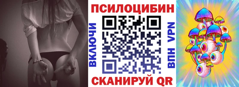 Псилоцибиновые грибы Psilocybe  сколько стоит  Гусь-Хрустальный 