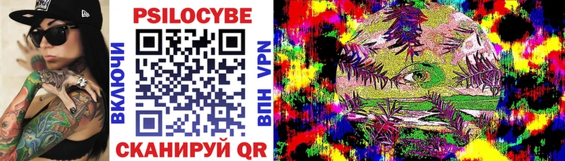 Галлюциногенные грибы Psilocybe Гусь-Хрустальный